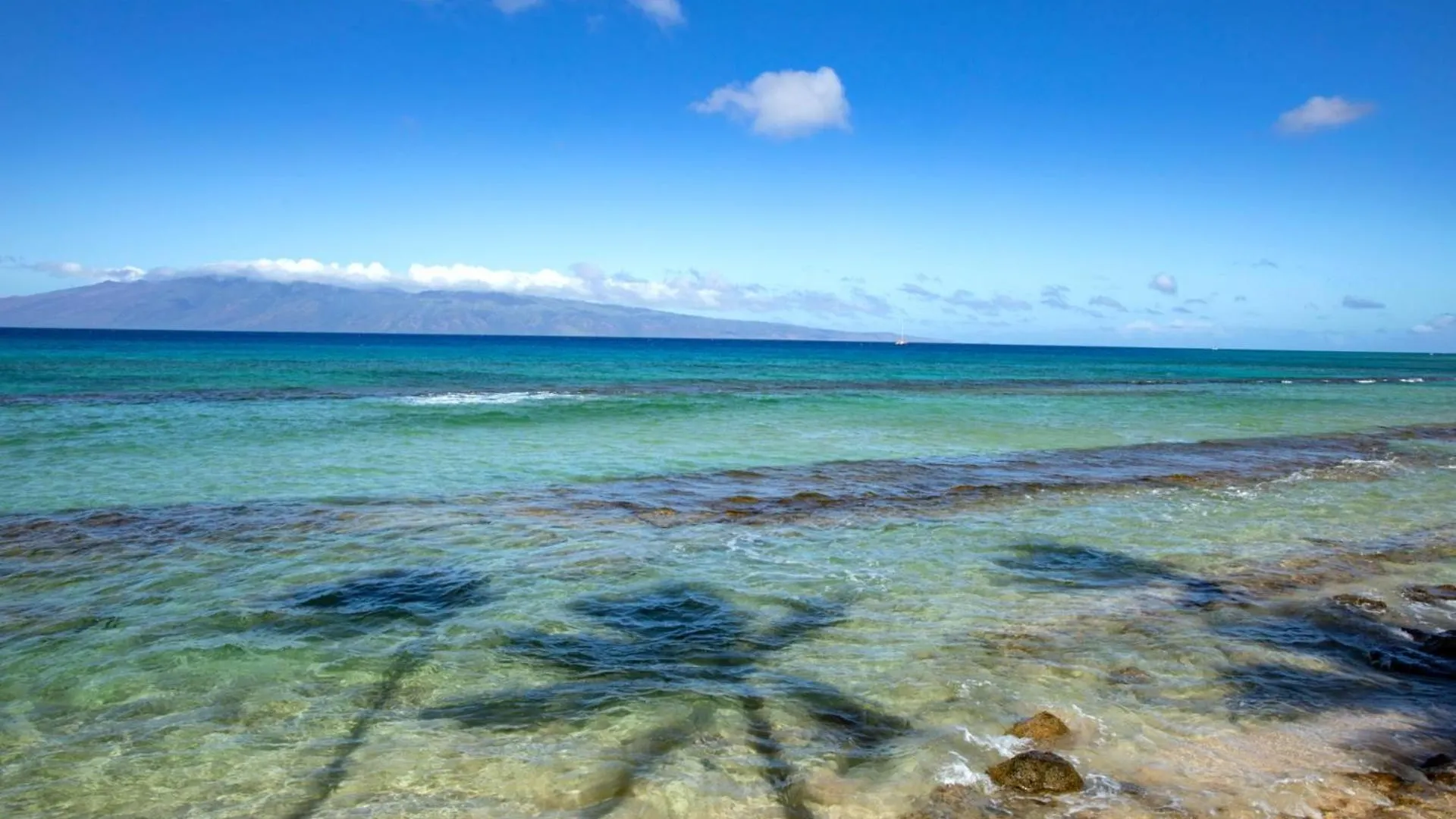 Apartment Kbm Resorts Free Car Papakea Pka-201 Oceanfront Corner Unit With Unobstr-Ucted Views Kaanapali